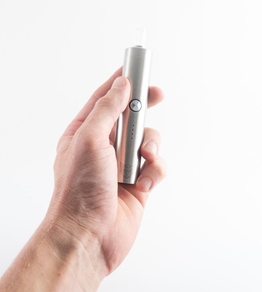 Linx Eden vaporizer in hand